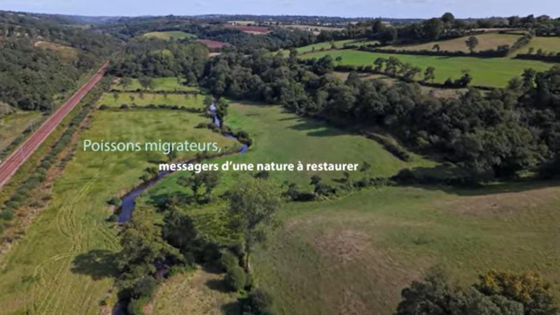 BGM_2026_Video_BGM_Odet_extrait